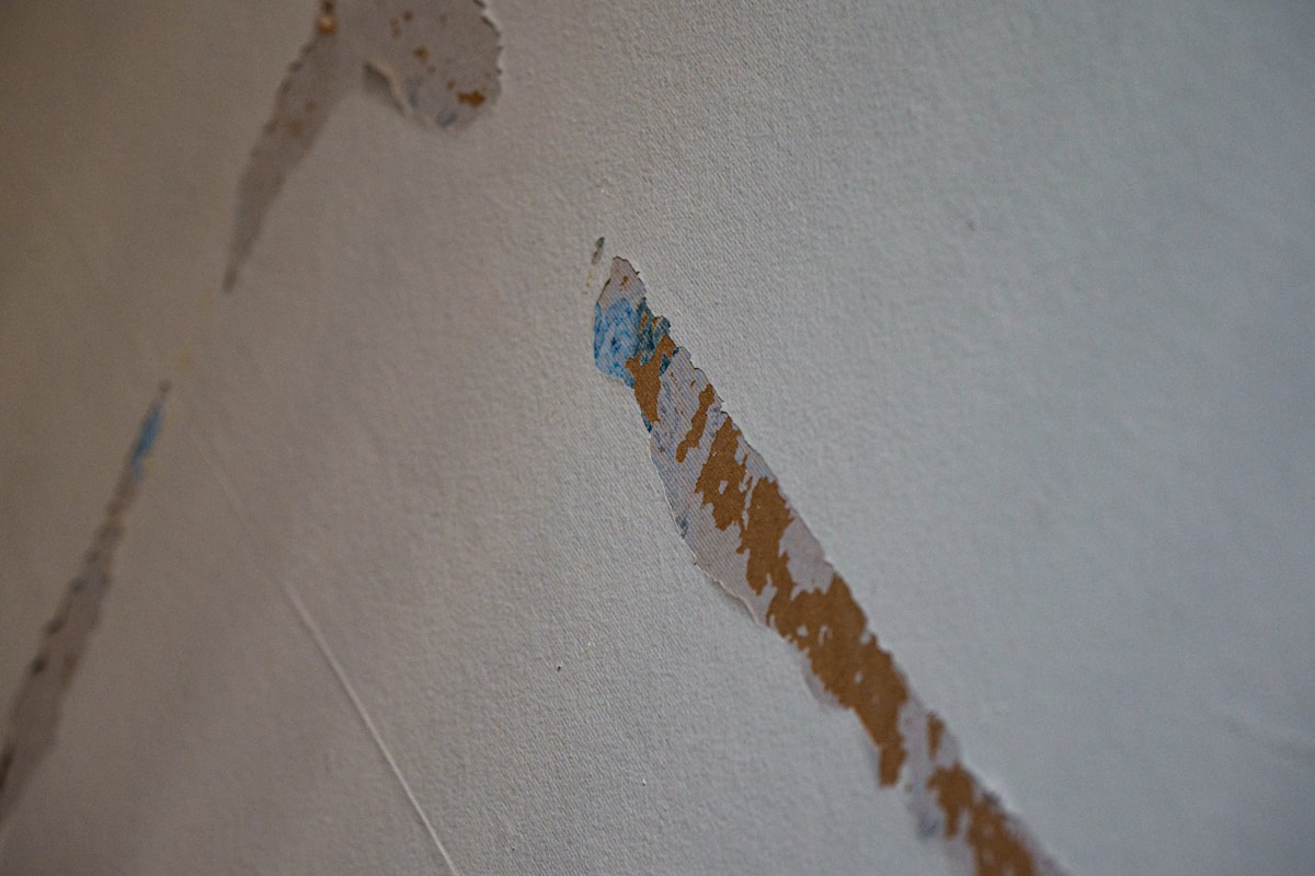 Flood Cleanup service in Taylor, MI